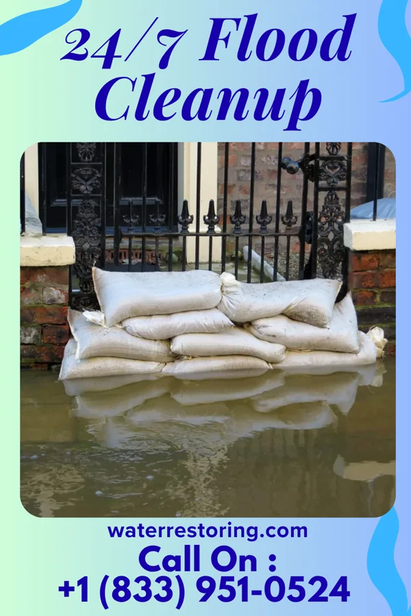 24/7 Flood Cleanup in Level Green, PA