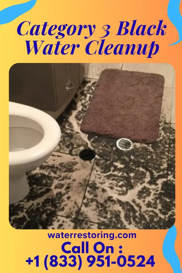 Category 3 Black Water Cleanup in Level Green, PA