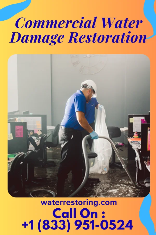 Commercial Water Damage Restoration in Level Green, PA