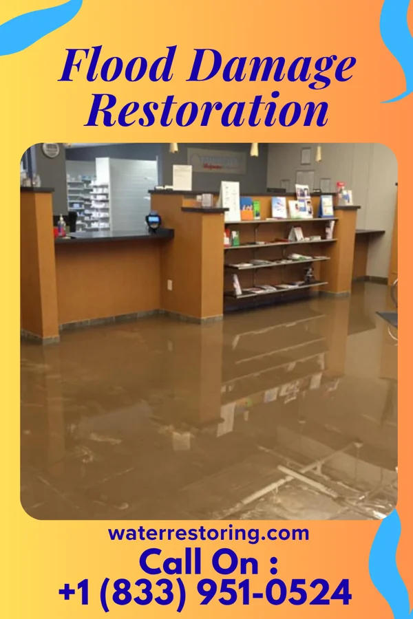 Flood Damage Restoration in Level Green, PA