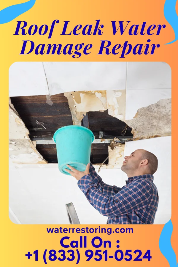Roof Leak Water Damage Repair in Level Green, PA