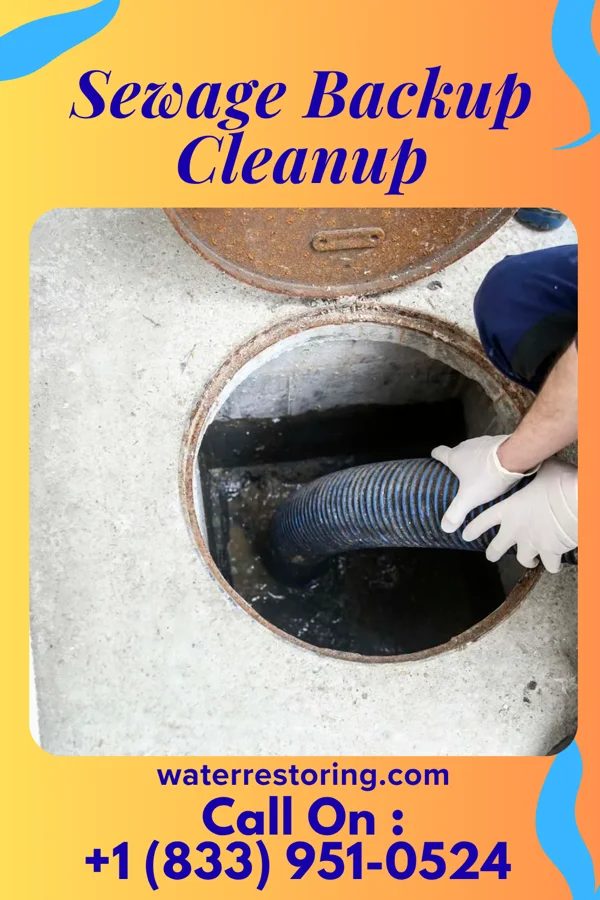 Sewage Backup Cleanup in Level Green, PA