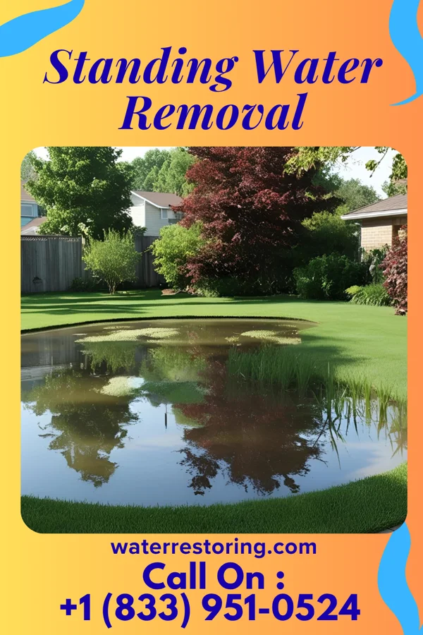 Standing Water Removal in Level Green, PA